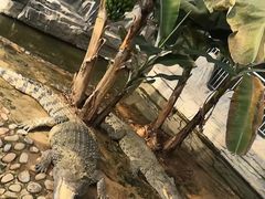 -石家庄市动物园