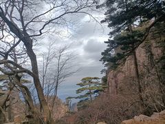 -黄山风景区