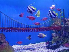 -太平洋海底世界