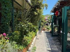 -慢丽江·云南野生菌土鸡锅(付家庄店)