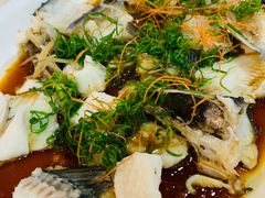 -友渔港·顺徳鱼生·横县鱼生