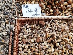 -友谊新天地广场(金街店)