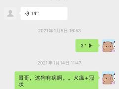 -中环花鸟鱼虫市场