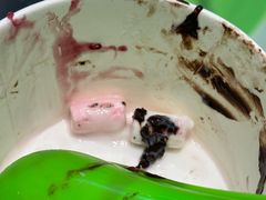 -Salud撒露欧洲冻酸奶(蓝色港湾店)