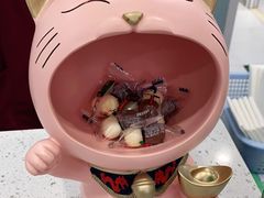 -纳吉亚猫专科动物诊疗中心(蒋宅口分院)