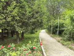 -大望京公园