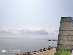 -宝安西湾红树林湿地公园