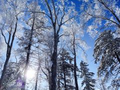 -亚布力新体委滑雪场