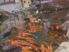 -鱼满舱·鲜活海鲜·正宗鲁菜