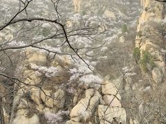 -北京凤凰岭