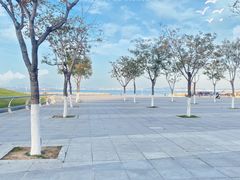 -东港音乐喷泉广场