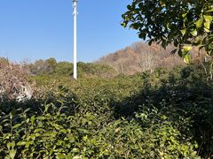 -南京市江宁方山
