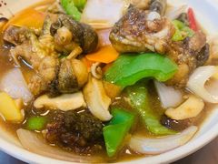黄焖田鸡-聂记粤菜馆(鼓西路店)
