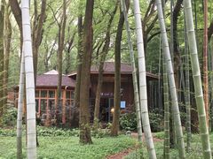 -同里国家湿地公园