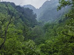 -泰山风景名胜区