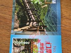 -大岭沟猕猴桃谷风景区