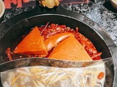 -蜀大侠火锅(建设路第五大道店)