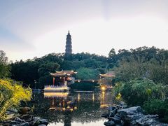 -顺峰山公园
