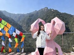 -龙湾潭国家森林公园