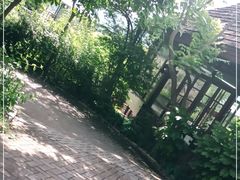-三亚亚龙湾人间天堂鸟巢度假村
