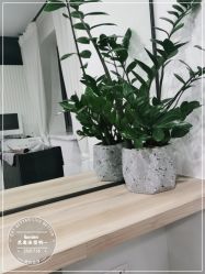 -Garden花園造型