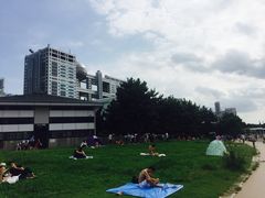 -台场海滨公园船码头