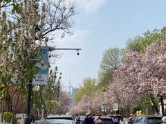 -天津五大道文化旅游区