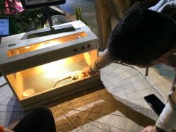 -酷嗒动物文化乐园(cutezoo西溪乐天城店)