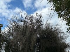 -云南驿景区-茶马古道景点