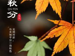 -炎钬堂亚健康管理(白银路店)