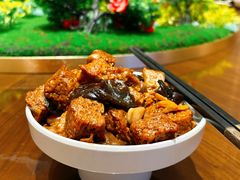 -泰康之家·申园