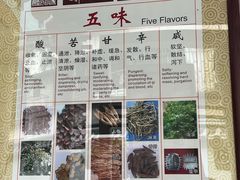 -广州神农草堂中医药博物馆