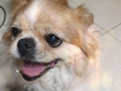 -宠爱国际动物医院(德胜门店)