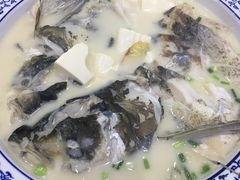 -全乐鱼馆·淳牌有机鱼直营店