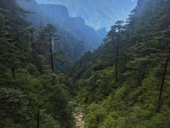 -神农架景区