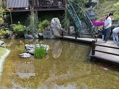 -耕渔小院·湖南鱼鲜(望城店)