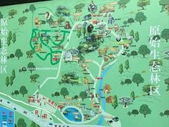 -贵州森林野生动物园