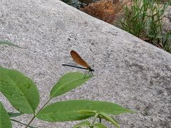 -碓臼峪自然风景区