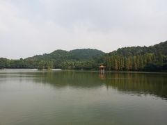 -西樵山风景名胜区-天湖公园