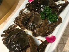 -钱塘花园·宁波菜