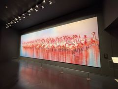 -罗红摄影艺术馆