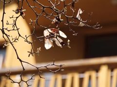 -杭州上天竺法喜讲寺