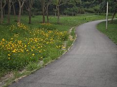 -白鹭湾湿地公园