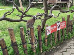 -宁波野生动物园