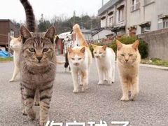 -未来战场·大空间VR·轰趴·团建(常营店)