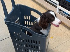 -嘉馨宠物医院·CT影像转诊·心脏科·犬猫全科诊疗中心(下沙大学城院区)