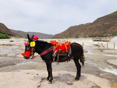 -陕西黄河壶口瀑布旅游区