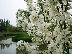 -东郊湿地公园