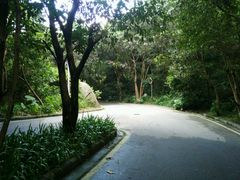 -火炉山森林公园
