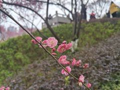 -重庆彩云湖湿地公园